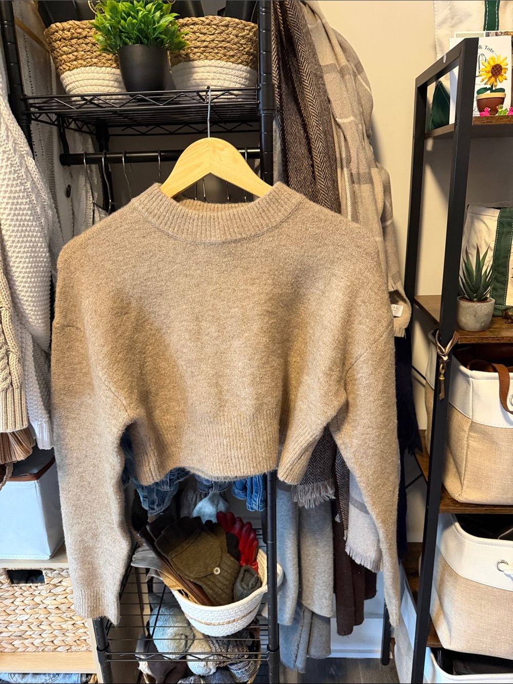 Zara Soft Cropped Crewneck Sweater in Light Brown
